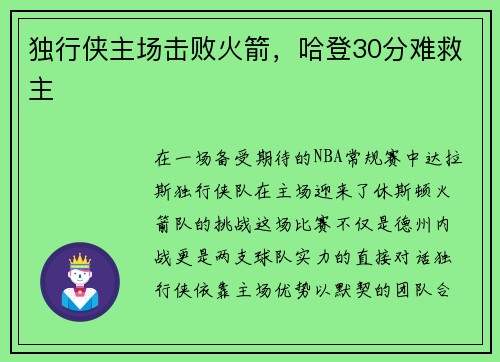独行侠主场击败火箭,哈登30分难救主
